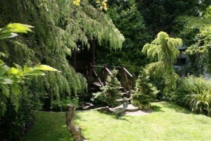 The Pond at West Lodge